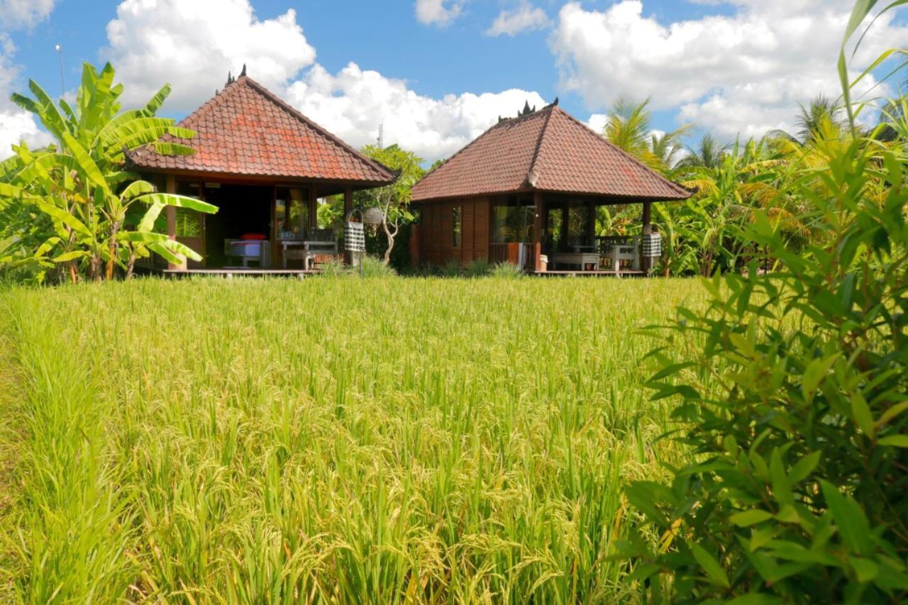 Keramas Surf Camp Hotel Buitenkant foto