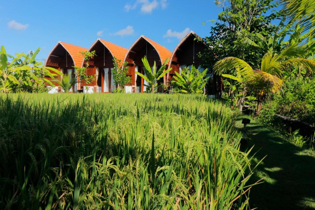Keramas Surf Camp Hotel Buitenkant foto