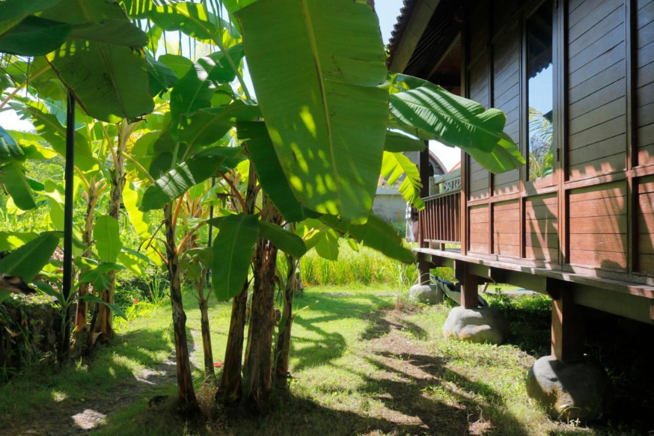 Keramas Surf Camp Hotel Buitenkant foto