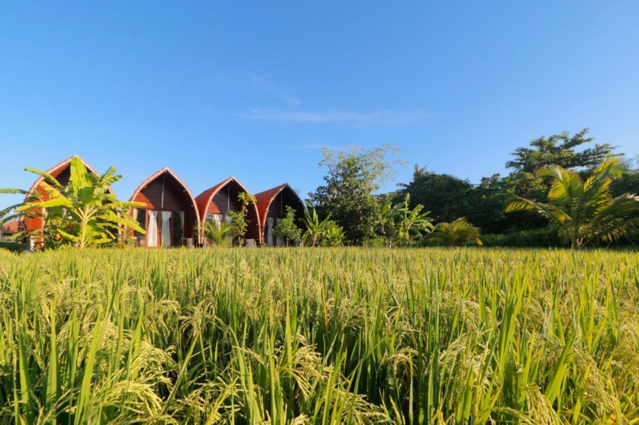 Keramas Surf Camp Hotel Buitenkant foto