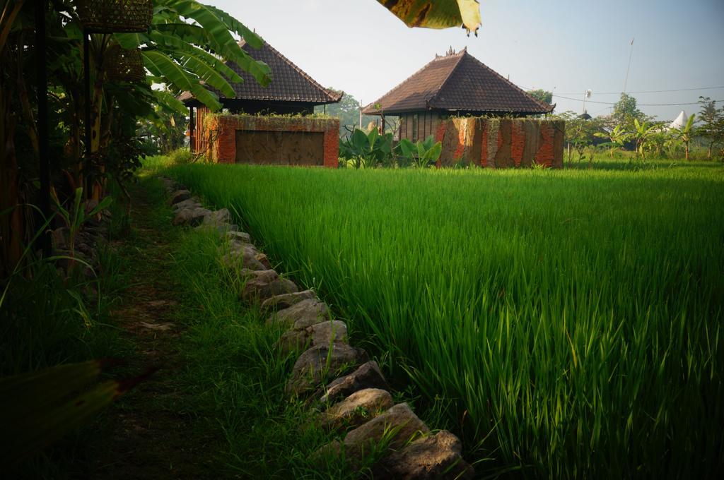 Keramas Surf Camp Hotel Buitenkant foto