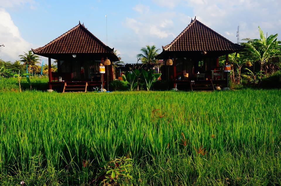 Keramas Surf Camp Hotel Buitenkant foto