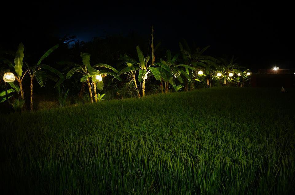 Keramas Surf Camp Hotel Buitenkant foto