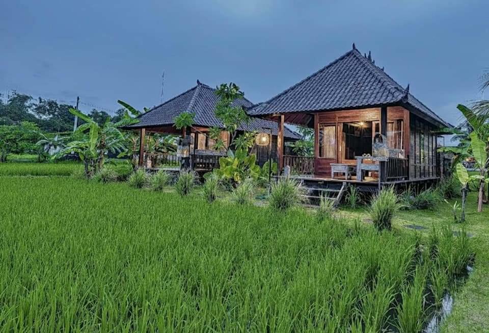 Keramas Surf Camp Hotel Buitenkant foto